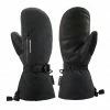 Dakine Men's Leather Titan Gore-Tex Mitt Accessories