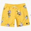 Lifestyle Bottoms RVCA Perry Elastic Men's Short