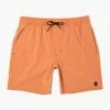 Lifestyle Bottoms RVCA VA Pigment Elastic Boardshorts 17"
