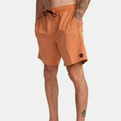 Lifestyle Bottoms RVCA VA Pigment Elastic Boardshorts 17"