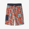 Patagonia Boy's Baggies Boardshorts Junior