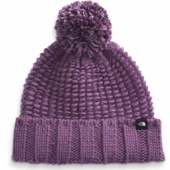 The North Face Cozy Chunky Beanie Winter Headwear