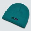 Oakley B1B Gradient Patch Beanie Winter Headwear