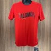 Salomon Men's Cosmic Logo SS Tee Shirt
